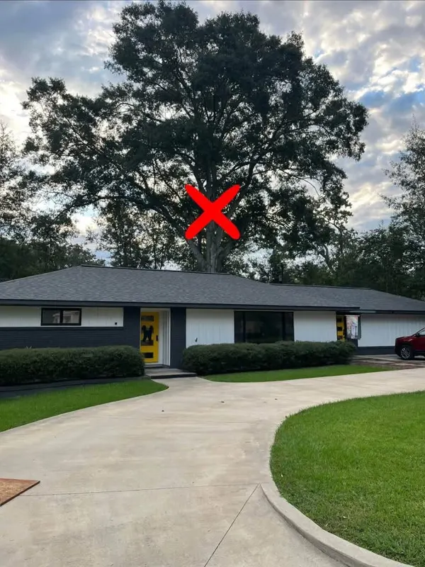 Large spreading oak behind a house marked with a red X ahead of a removal