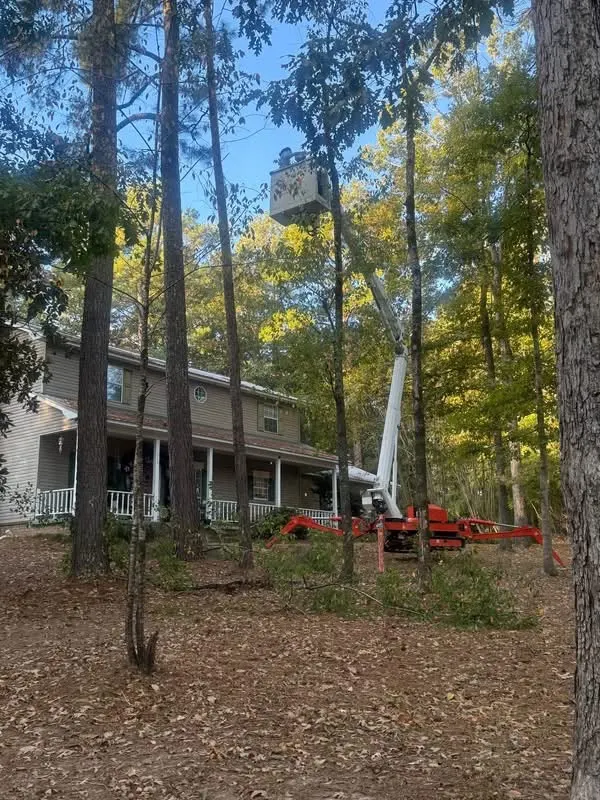 Aerial lift raised among tall trees beside a two-story home during removal work