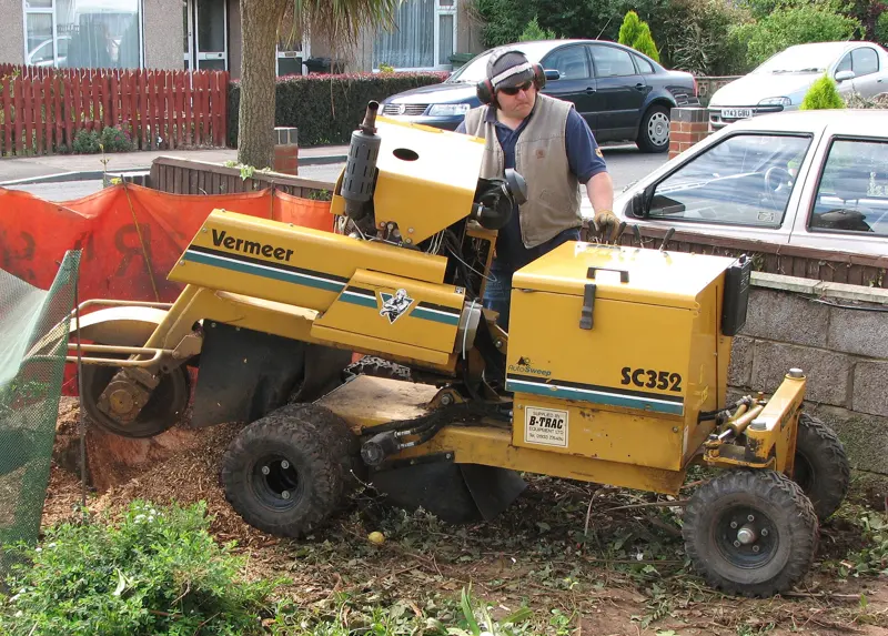 Operator running a stump grinder over a cut stump
