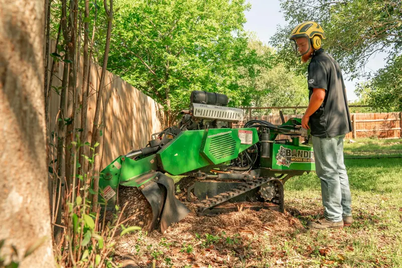 Stump grinder working in a residential yard